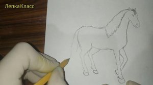 как нарисовать лошадь?️?