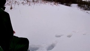 Не зря туда шли! Рыбалка на паук (подъемник) Ловля живца на пруду зимой.