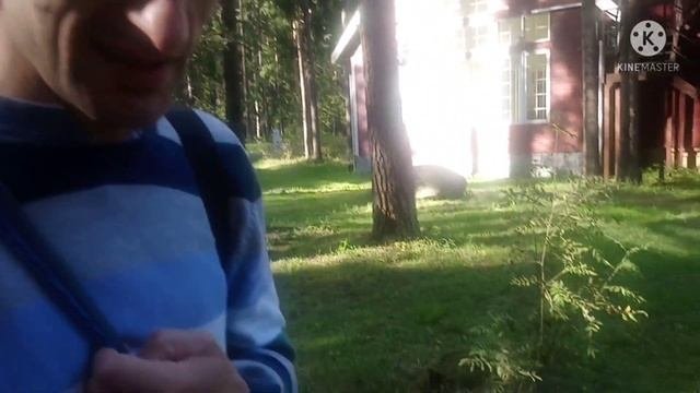 Едем в КОПРИНО Снос бошки от восторга Почему мы приехали в Рыбинск второй раз за лето Живенький ВЛО