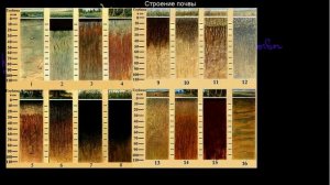 168  Строение почвы