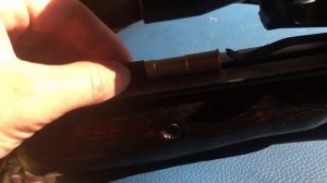 Пристрелка арбалета и лука при помощи патрона для холодной пристрелки!