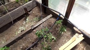 Мой огород. Система капельного полива. My garden drip irrigation