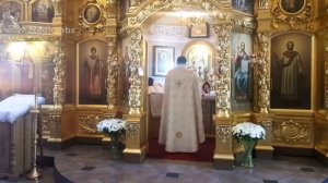 28.05. Божественная литургия. Вознесение Господне