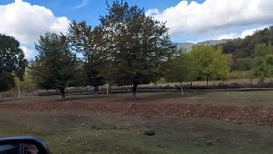 Азербайджан.Путешествие в Габалу.