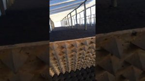 Сеялка для посева редиса.