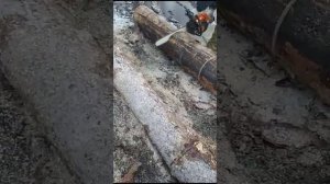 штиль 381 китай (от покупателя)