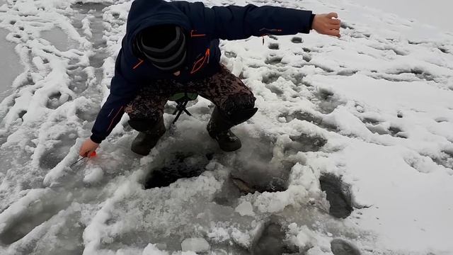Щука не лезет в лунку. Щука на Жерлицы в Воронежской области. смотреть онлайн