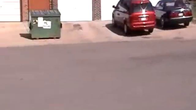 2013 Toyota Venza XLE AWD смотреть онлайн