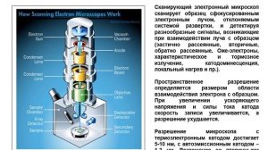 Электронная микроскопия (просвечивающая и сканирующая)