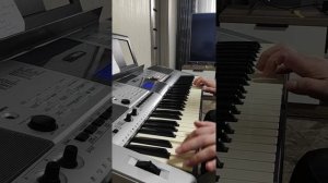 Белые розы. Автор С. Кузнецов. На синтезаторе.
