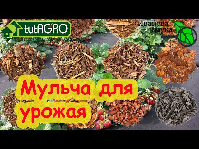 МУЛЬЧА: ОТ ОПИЛОК до ПЛАСТИКА. Закисляет почву? Ворует азот? И другие стыдные вопросы о мульче.