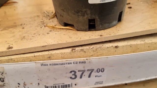 ЛЕРУА МЕРЛЕН! Садовый центр! ОБЗОР + ЦЕНЫ + ЛИЧНЫЙ ОПЫТ! 01.09.2023г. смотреть онлайн