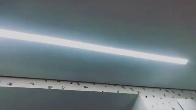 Clipso. Тканевые натяжные потолки. смотреть онлайн