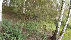 Рыбалка на озерах Соколье.Всеволожский р-н.