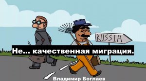 Владимир Боглаев на канале Накануне: Не....качественная трудовая миграция.