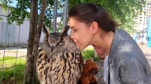 Yoll's stream Reptilium Moscow 2022 лето