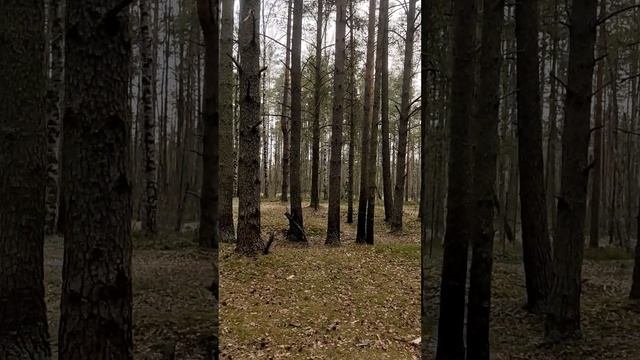 Экотропа 