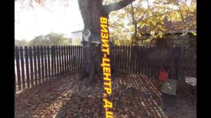 "ЗОЛОТАЯ МЕЩЕРА", ЧАСТЬ 2