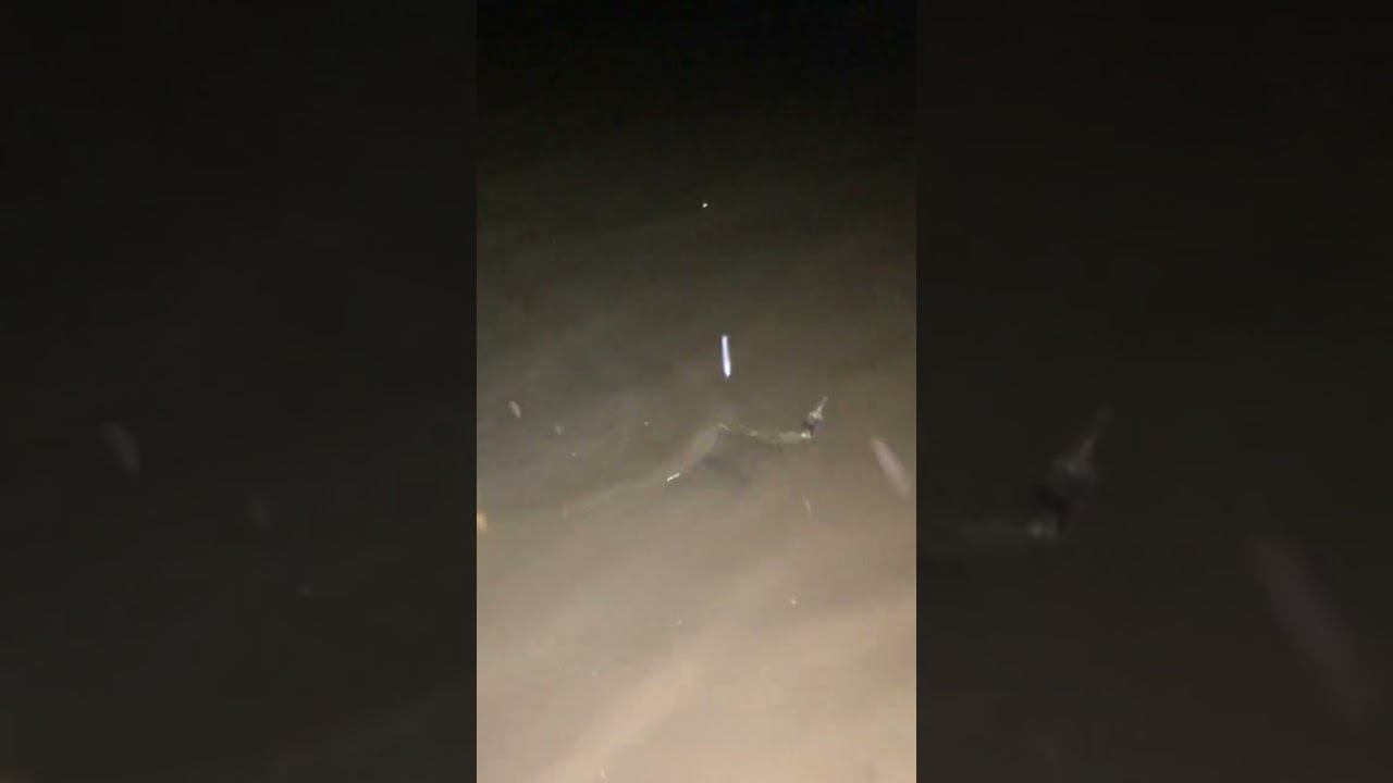 ПОЙМАЛИ на ДОНКУ проверка НОЧНЫХ ДОНОК смотреть онлайн