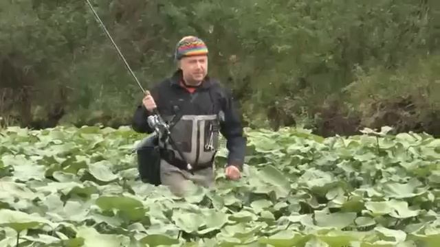 Анатолий Полотно и Федя Карманов  -  Счастья Вам!