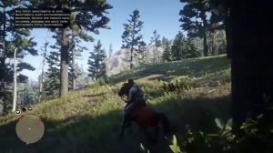 Поимка арабской лошади Red Dead Redemption 2 и сравнение с чистокровной