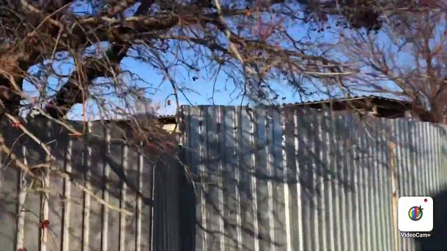 Вот такой день и такие дела в саду