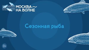 Почему стоит посетить рыбный рынок «Москва — на волне»