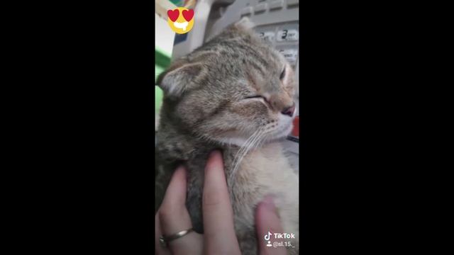 Бетти