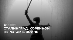 80 лет с начала контрнаступления под Сталинградом