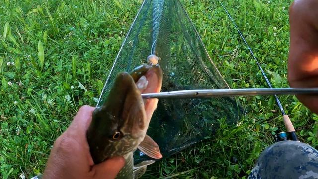 Хапнула на первой же проводке ! смотреть онлайн