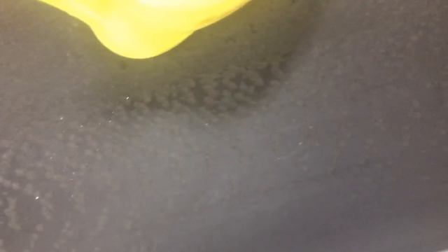 ПОКА ЛЕНА ЛАНГЕ В ЭМИГРАЦИИ. ЧЕМУ Я УЧУСЬ У УМНЫХ ВНУКОВ ОЛЬГИ БРУКМАН. смотреть онлайн