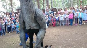 Деназавр. Праздник КСК Белая лошадь ? 05 июля