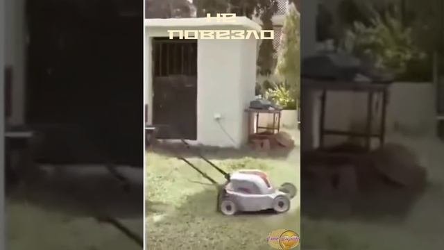 Невезучие