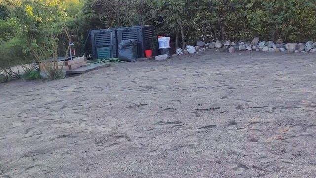 Наша Дача в Германии .Засеяли газон. смотреть онлайн