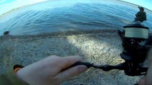 Ловля судака весной. Ловля судака на джиг.