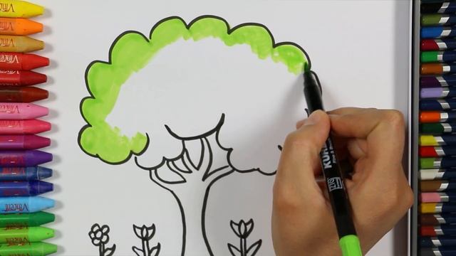 Как рисовать дерево - Большое дерево раскраска - Как покрасить дерево - Как рисовать и цвет