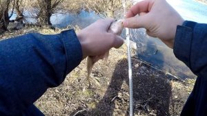 ЖОР карася весной на ЧЕСНОК! Краснуха, вся рыба в пятнах