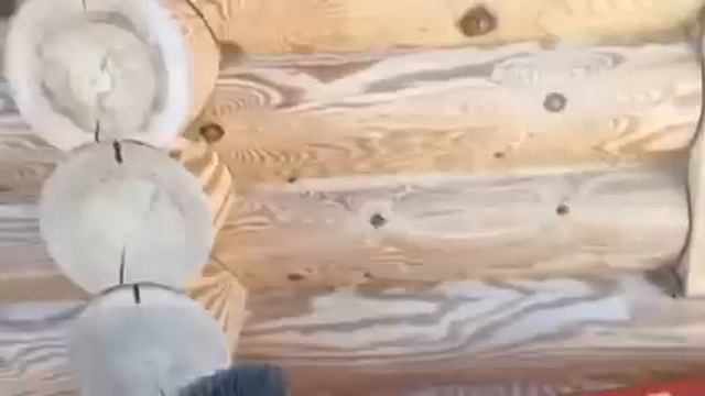 Шлифовка сруба из оцилиндрованного бревна смотреть онлайн