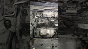 Kia rio 2010 странный звук шуршание мотора