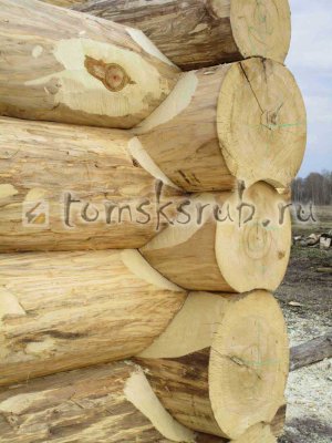 Изготовление срубов в чашу