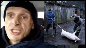 Сережа унитаз и Коля железяка. Мопс