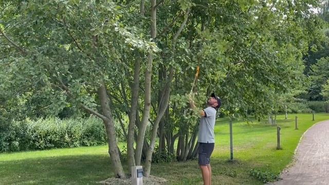 Мы в Сколково! Тест-драйв электромобиля и многое другое. #газонокосилка #триммер #электромобиль смотреть онлайн