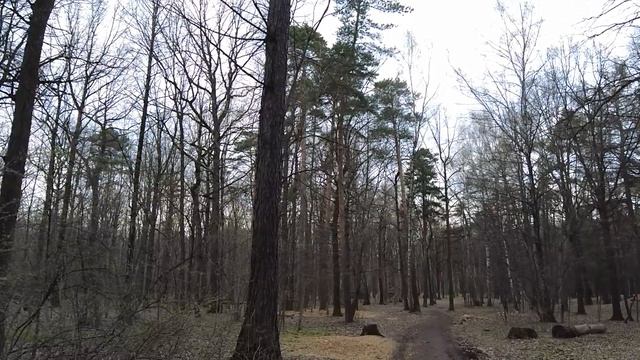 Ушлый муж, решив обойти брачный контракт придумал как забрать богатства жены… Но ее «ответ» ошараши смотреть онлайн