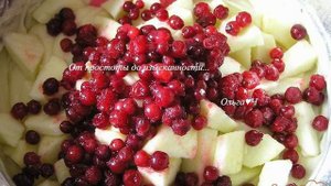 Шарлотка с яблоками и брусникой