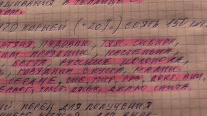 Какие томаты в этом году я буду сеять первыми? Ольга Чернова.