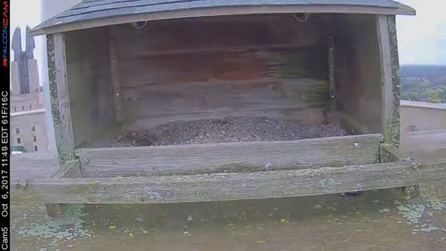 Camera 5 - 10/06/17 смотреть онлайн