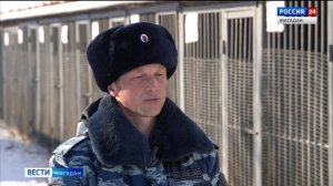 О службе собак в полиции - интервью с кинологом