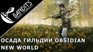 Осада форта против гильдии Obsidian за обороняющихся в New World.