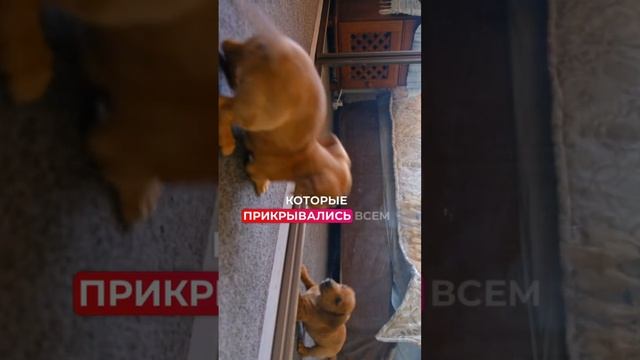 Системный смм - это преодоление лени в обучении и работе #маркетинг #смм #контентмаркетинг