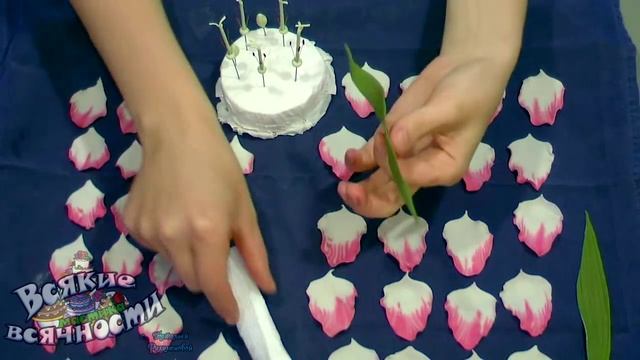 Гладиолус Присцилла из мастики смотреть онлайн